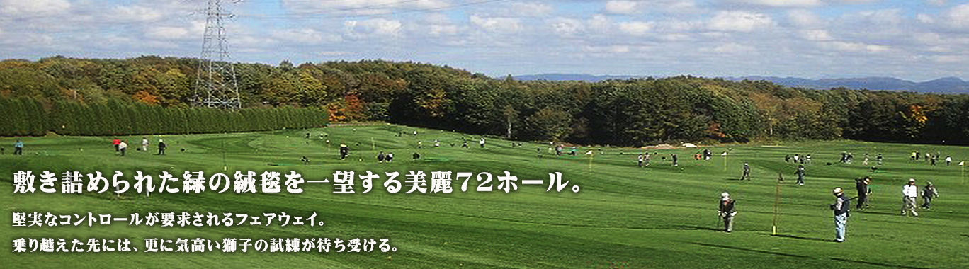 R128 - 安平山パークゴルフコース(~2018)
